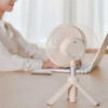 Summer Cooler Desktop Fan