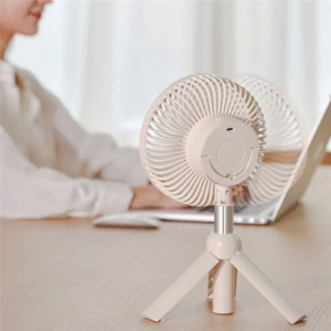 Summer Cooler Desktop Fan